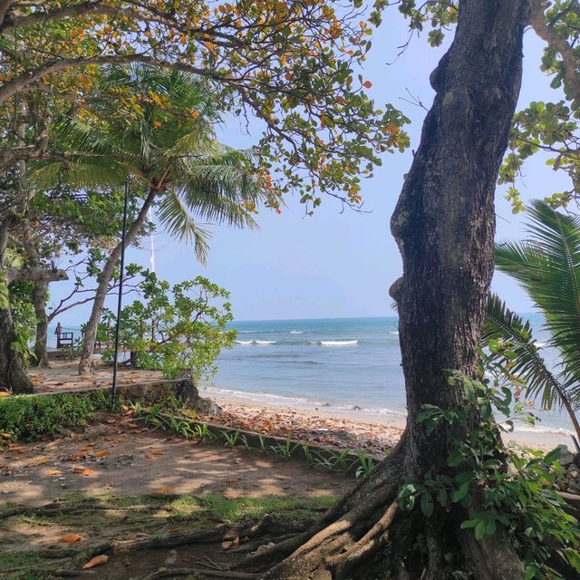 Best View in Mambruk Hotel & Convention - Anyer