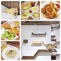 新開🎊寬敞👍高質🐈貓Cafe🍴