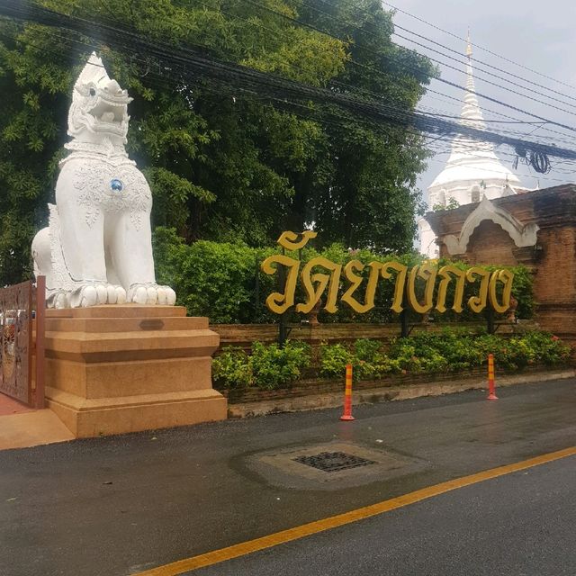 วัดยางกวง ขอพรพระแสนแซว่  เชียงใหม่