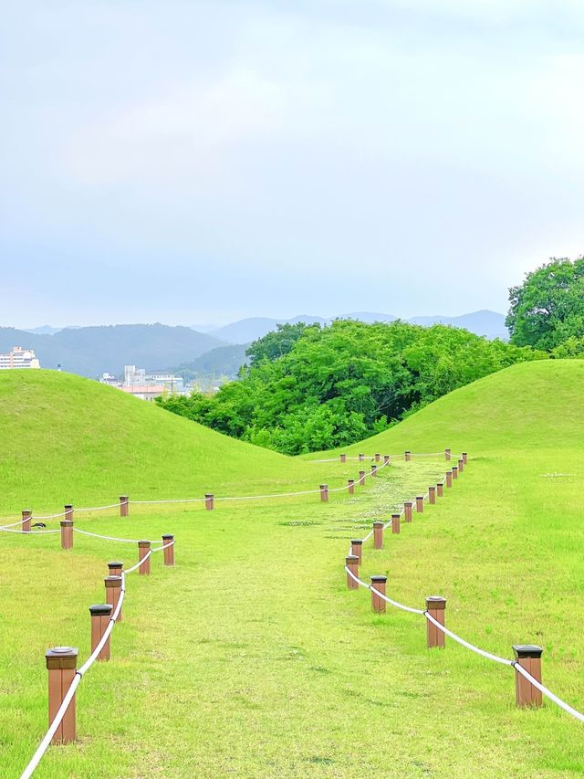 드넓은 초록빛, 창녕 교동 고분군🌿