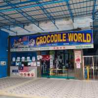 Where To Find 100 Year Old Crocodiles? 🐊