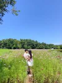 산책하기 좋은 애월 공짜 명소, 항파두리항몽유적지