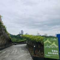 不一樣的公園