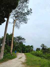 Khaoley Buddhist Park - พุทธอุทยานเขาเล่