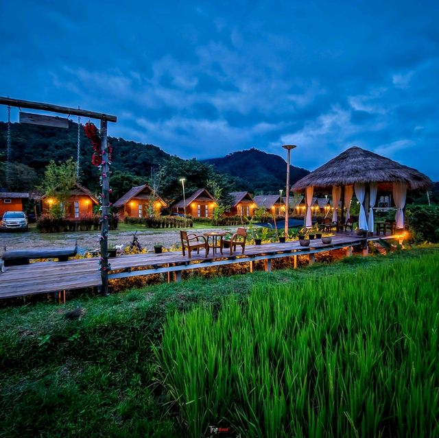ที่พักสวย ติดริมน้ำมาง วิวท้องนา