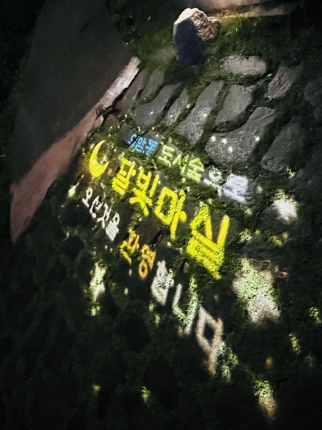 부산 야경명소
