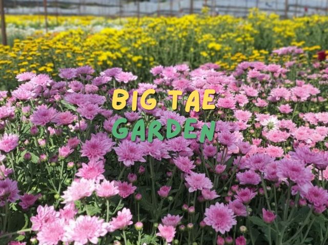 Big Tae Garden💐