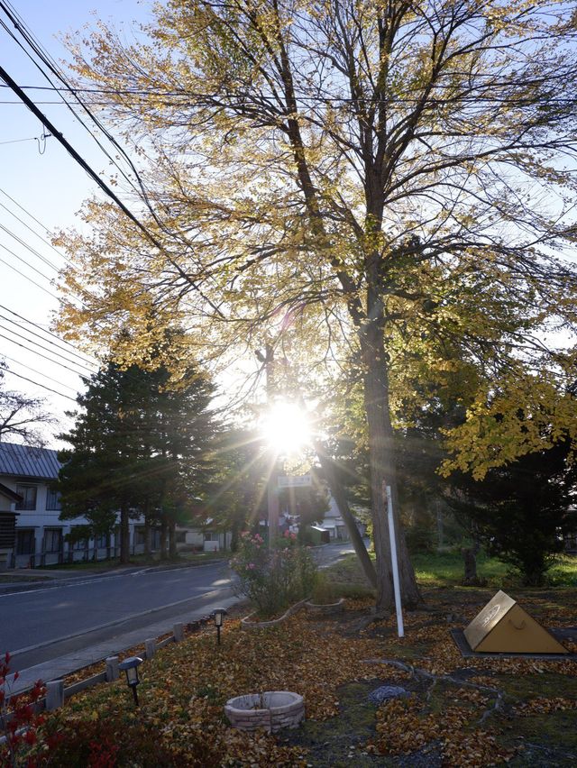 日本住宿篇~十和田湖背包旅館