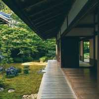 源光庵～美麗靜謐庭園🌸🏯