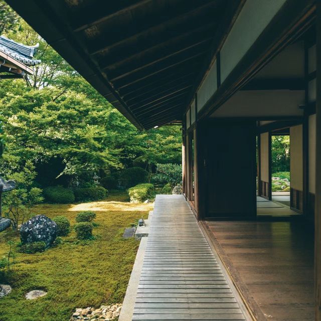 源光庵～美麗靜謐庭園🌸🏯