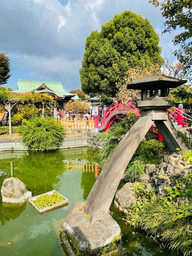 【東京都/亀戸天神社】亀戸天神菊まつり