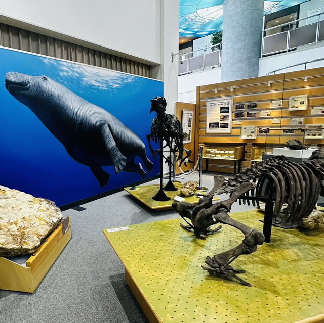 位在北海道北邊的枝幸町博物館