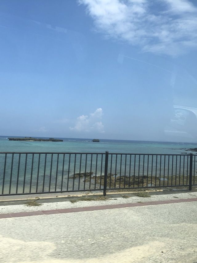 沖繩必到景點🐋美麗海水族館