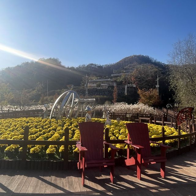 Dayang South Korea in Autumn