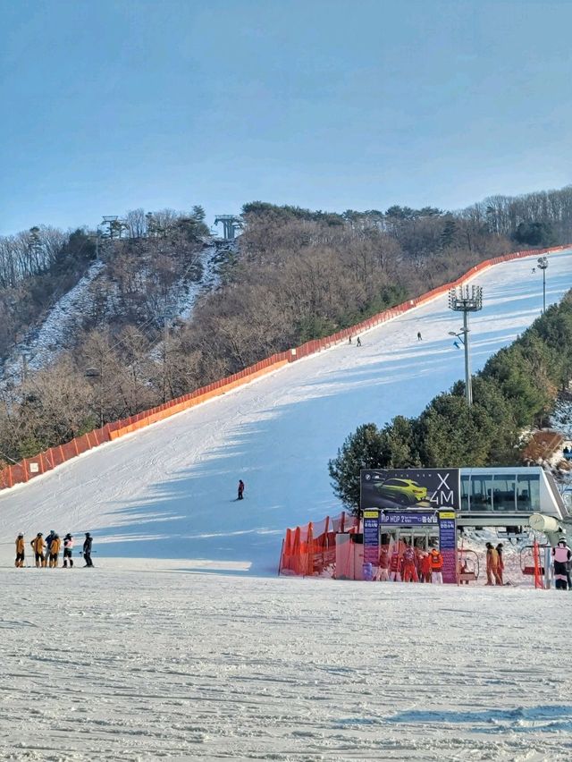 겨울 여행 최고봉, 홍천 비발디파크❄️⛷️🏂
