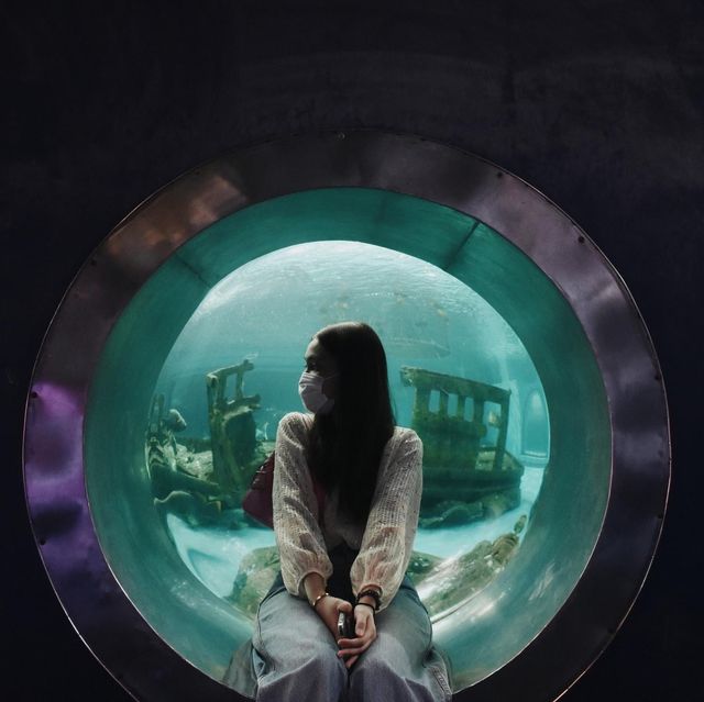 พาทุกคนเข้าสู่โลกใต้ทะเลใกล้กรุงเทพฯ 🐳✨