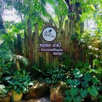 Long-Dong หลงดง คาเฟ่ 
