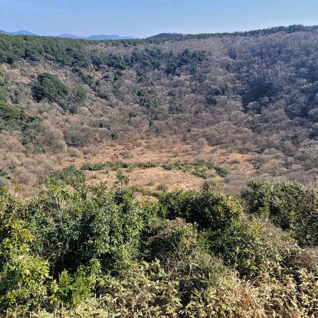 한라산 분화구보다 더 큰 분화구가 있는, 산굼부리🌋