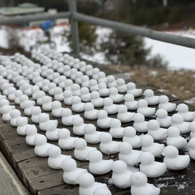 芝山滑雪場😍😍