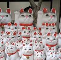 lucky cat temple 
