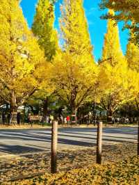 BEEN THERE, DONE THAT, AUTUMN IN JAPAN