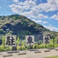 Japan | Kyoto 1 Day trip