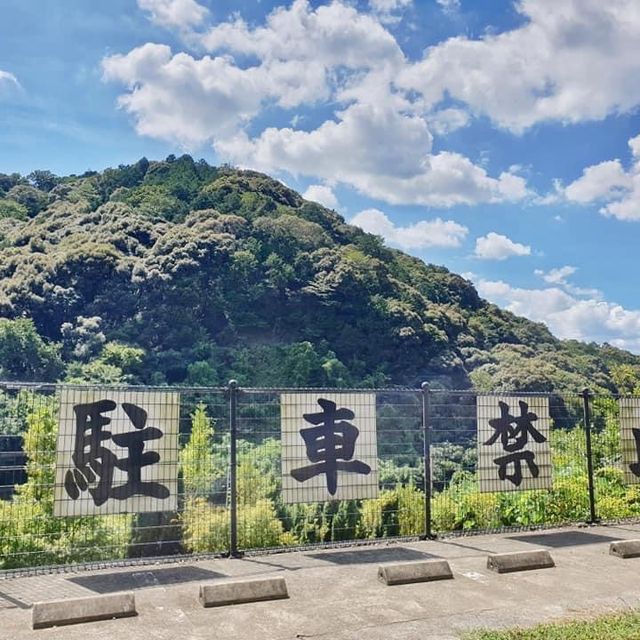 Japan | Kyoto 1 Day trip