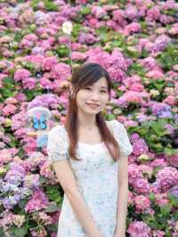 2023香港花卉展覽-萬千花海