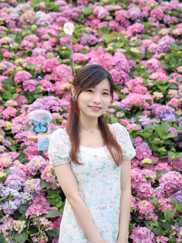 2023香港花卉展覽-萬千花海 2023香港花卉展覽-萬千花海