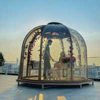 หนีแมวไป  Amethyst Hotel Pattaya 💜