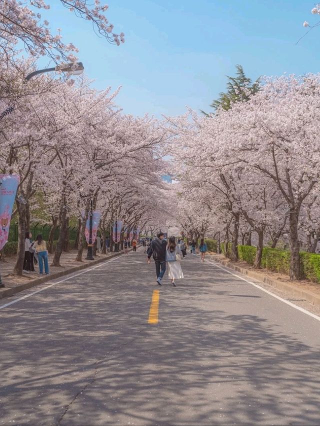 동화속에 온 듯 가슴이 설레는 이곳"이월드"