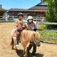 【 近距離親親小動物。神戶動物王國 】