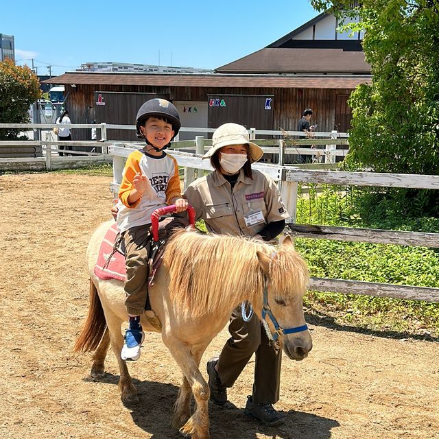 【 近距離親親小動物。神戶動物王國 】