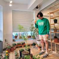 예쁜 식물들을 많이 볼 수 있는 볕좋은 대전 감성 카페 프롬더코너