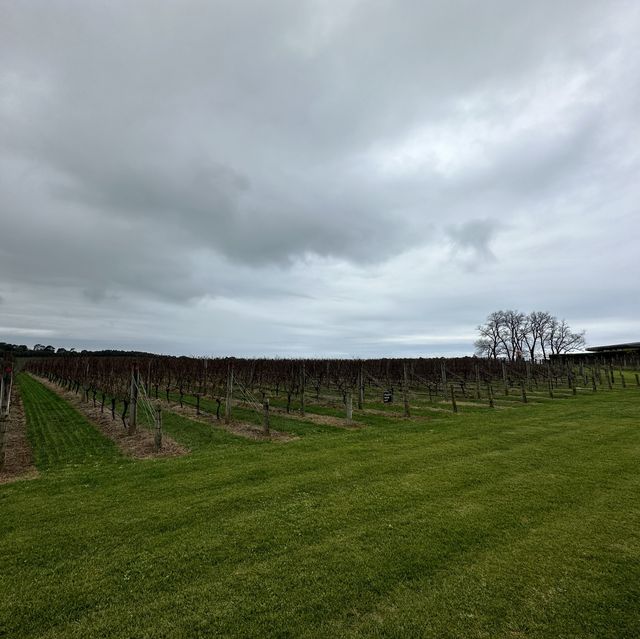 Pt Leo Estate: An Artistic Wine Wonderland