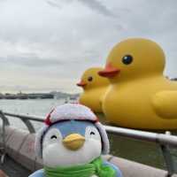 Penguins meet Rubber Ducks