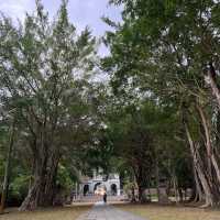 嘉義景點-嘉義公園