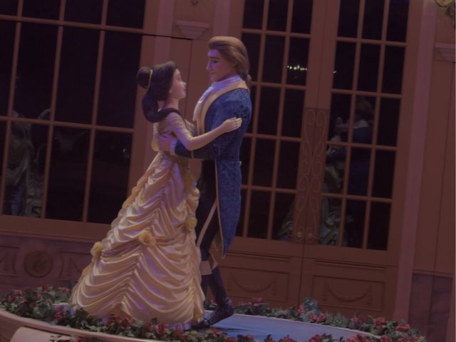 TDR最新アトラクション美女と野獣魔法のものがたり