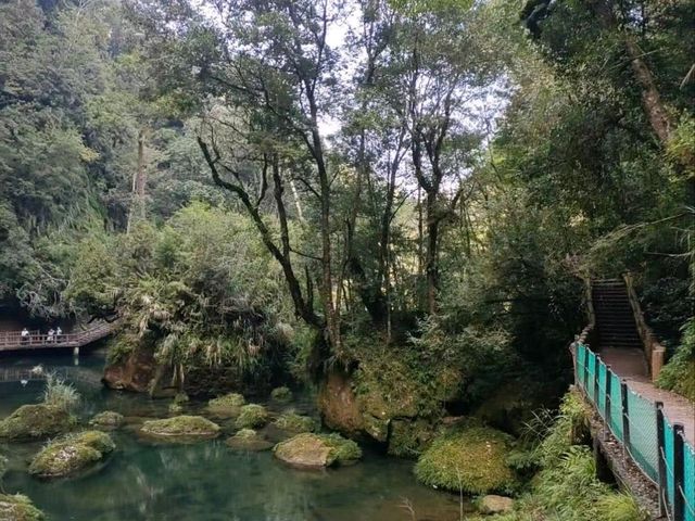 絕美仙境-溪頭杉林溪
