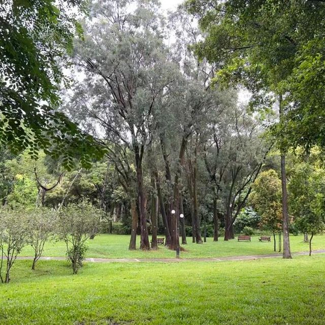 🤹🏻‍♂️蓮花山公園 | 遊山玩水🏵️