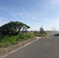 許厝港濕地