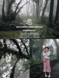 เที่ยวดอยอินฯเชียงใหม่หน้าฝน ได้ฟีลมาก☔️