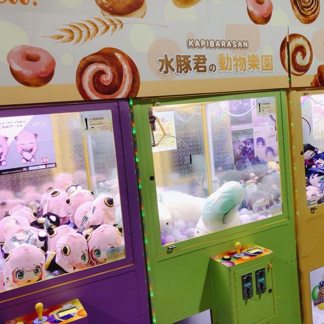台北|🦫🦦🦥水豚君の動物樂園📍華山文創園區_東2B館 台北|🦫🦦🦥水豚君の動物樂園📍華山文創園區_東2B館