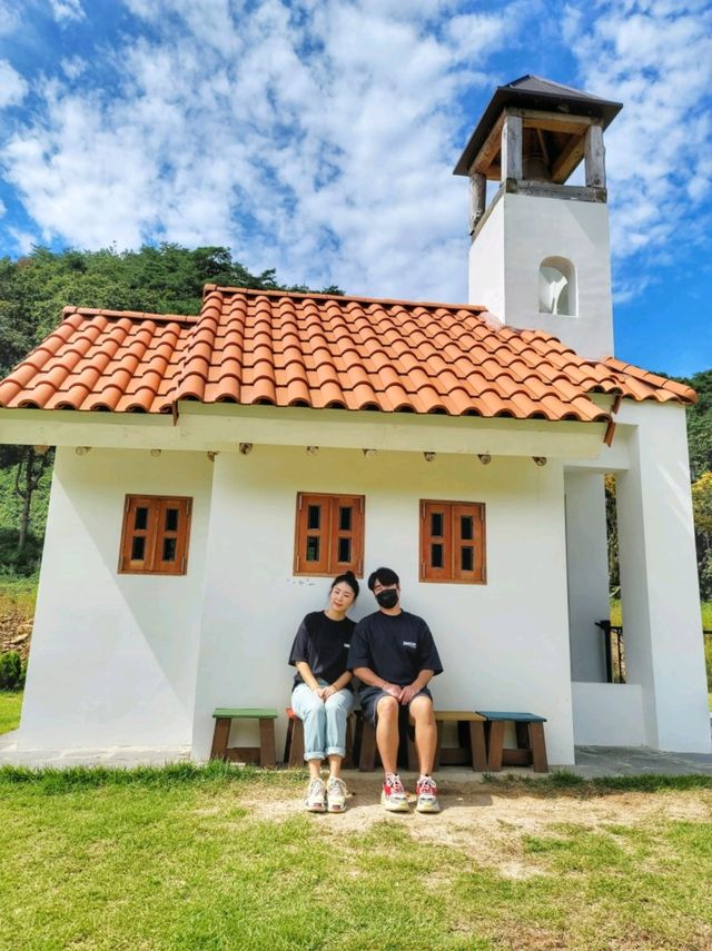 무궁화 보기 힘든 요즘 가볼만한 곳🩷