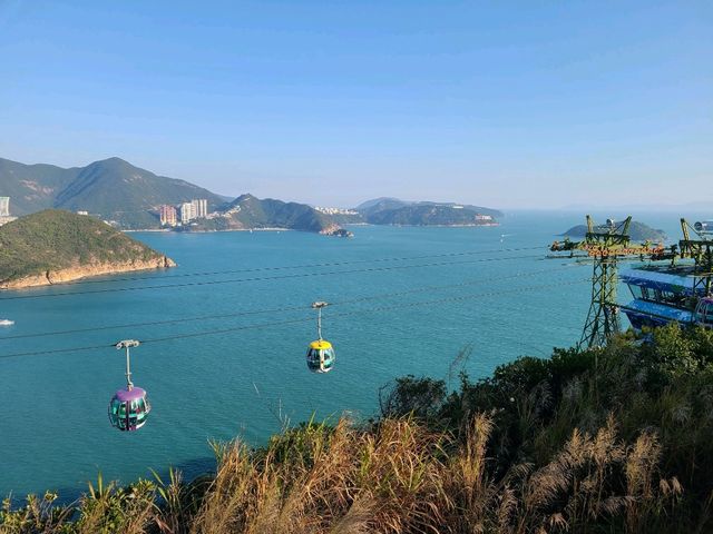 【重拾童年回憶~Ocean Park🎢】