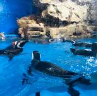 桃園｜🐧💙可愛企鵝篇📍 Xpark