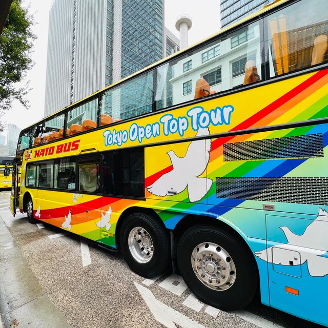🇯🇵 Open top sightseeing bus