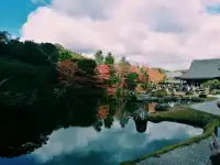 📍Tenryu Ji Temple