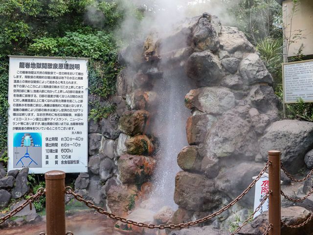 【大分県】別府名物「別府 地獄めぐり」③血の池地獄〜龍巻地獄👹