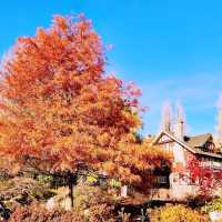 Colorful autumn at Deer Lake Park 